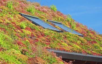 Bridgtown living roof systems