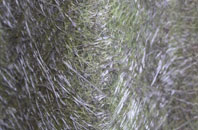 Bridgtown fibreglass roof work